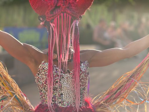 Person wearing a vibrant costume with elaborate headdress and colorful feathers, arms raised.